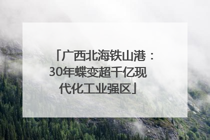 广西北海铁山港：30年蝶变超千亿现代化工业强区