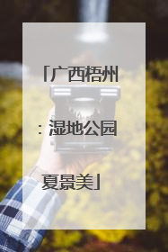 广西梧州：湿地公园夏景美