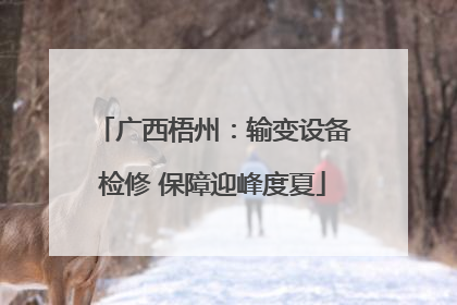 广西梧州：输变设备检修 保障迎峰度夏