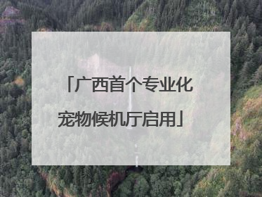 广西首个专业化宠物候机厅启用
