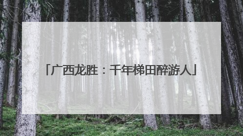 广西龙胜：千年梯田醉游人