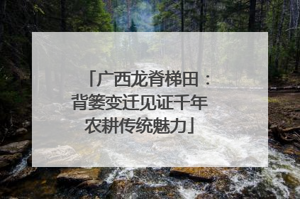 广西龙脊梯田：背篓变迁见证千年农耕传统魅力
