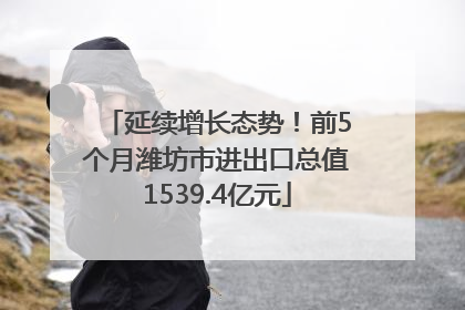 延续增长态势！前5个月潍坊市进出口总值1539.4亿元