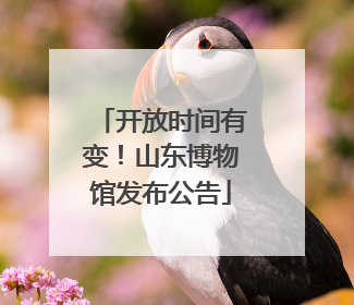 开放时间有变！山东博物馆发布公告