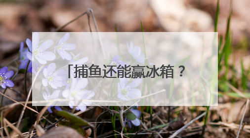 捕鱼还能赢冰箱？水上公园邀您来玩（文末有福利）
