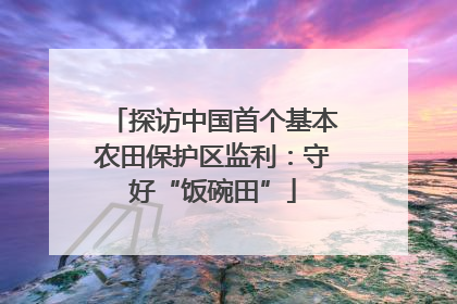 探访中国首个基本农田保护区监利：守好“饭碗田”