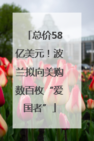 总价58亿美元！波兰拟向美购数百枚“爱国者”