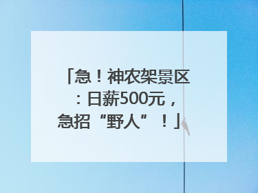 急！神农架景区：日薪500元，急招“野人”！