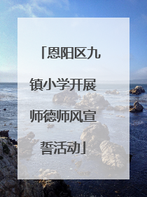 恩阳区九镇小学开展师德师风宣誓活动