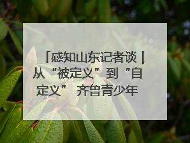 感知山东记者谈｜从“被定义”到“自定义” 齐鲁青少年书写时代新篇