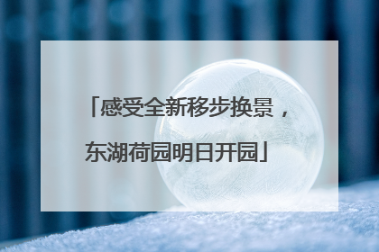 感受全新移步换景，东湖荷园明日开园