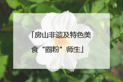房山非遗及特色美食“圈粉”师生