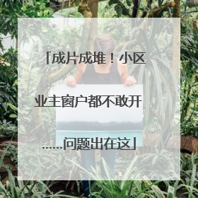 成片成堆！小区业主窗户都不敢开……问题出在这