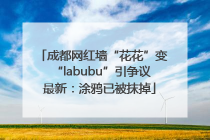 成都网红墙“花花”变“labubu”引争议 最新：涂鸦已被抹掉