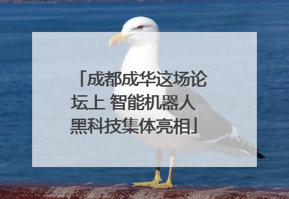 成都成华这场论坛上 智能机器人黑科技集体亮相