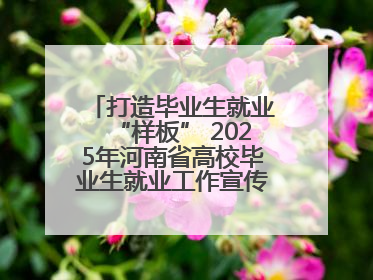 打造毕业生就业“样板” 2025年河南省高校毕业生就业工作宣传月启动