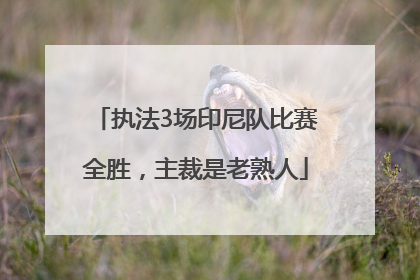 执法3场印尼队比赛全胜，主裁是老熟人