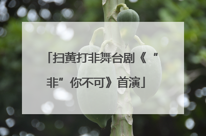 扫黄打非舞台剧《“非”你不可》首演