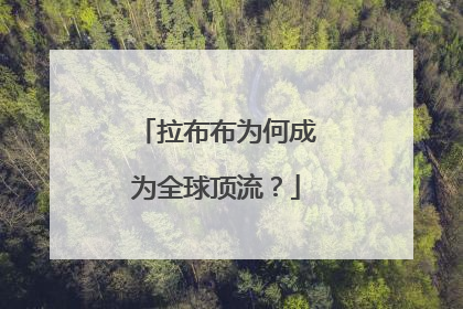拉布布为何成为全球顶流？
