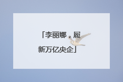 李丽娜，履新万亿央企