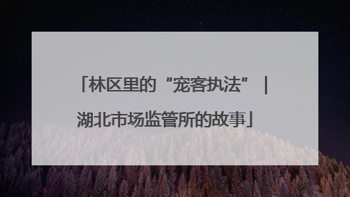 林区里的“宠客执法”｜湖北市场监管所的故事