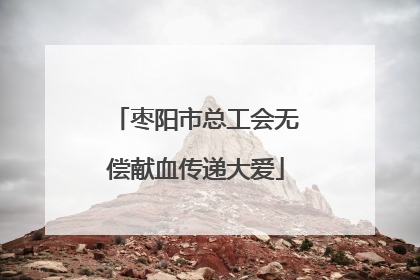 枣阳市总工会无偿献血传递大爱