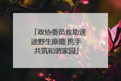 政协委员救助迷途野生麋鹿 携手共筑和谐家园