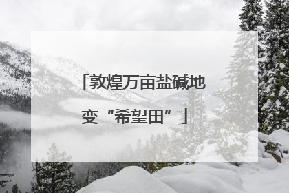 敦煌万亩盐碱地变“希望田”