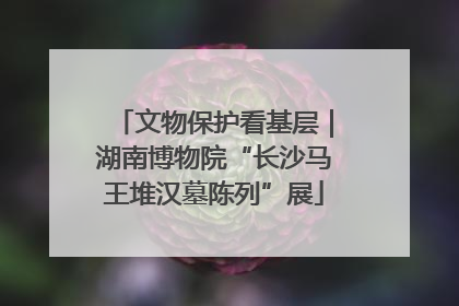 文物保护看基层｜湖南博物院“长沙马王堆汉墓陈列”展