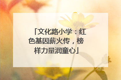 文化路小学：红色基因薪火传，榜样力量润童心