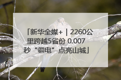 新华全媒+｜2260公里跨越5省份 0.007秒“疆电”点亮山城