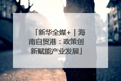 新华全媒+｜海南自贸港：政策创新赋能产业发展