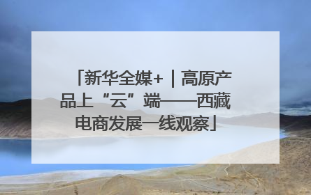 新华全媒+｜高原产品上“云”端——西藏电商发展一线观察