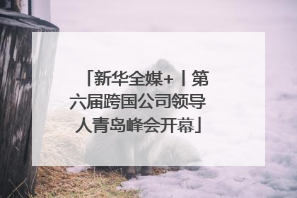新华全媒+丨第六届跨国公司领导人青岛峰会开幕