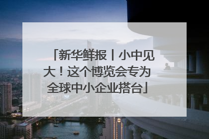 新华鲜报丨小中见大！这个博览会专为全球中小企业搭台