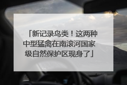 新记录鸟类！这两种中型猛禽在南滚河国家级自然保护区现身了