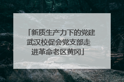 新质生产力下的党建 武汉校促会党支部走进革命老区黄冈