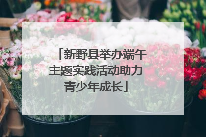 新野县举办端午主题实践活动助力青少年成长