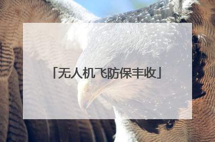 无人机飞防保丰收