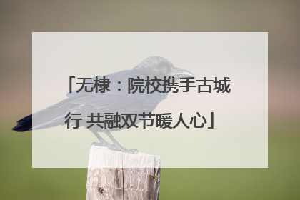 无棣：院校携手古城行 共融双节暖人心