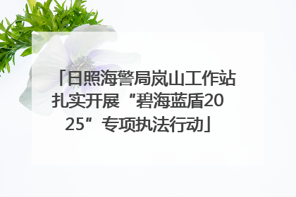 日照海警局岚山工作站扎实开展“碧海蓝盾2025”专项执法行动