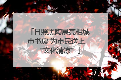 日照黑陶展亮相城市书房 为市民送上“文化清凉”