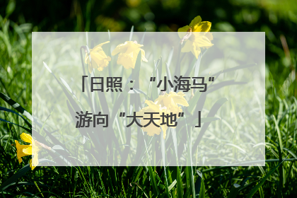 日照：“小海马”游向“大天地”