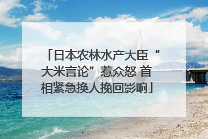 日本农林水产大臣“大米言论”惹众怒 首相紧急换人挽回影响