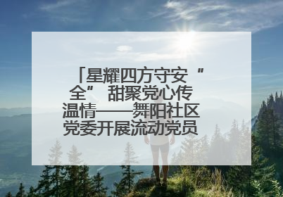 星耀四方守安“全” 甜聚党心传温情——舞阳社区党委开展流动党员建党节主题活动