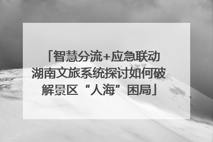 智慧分流+应急联动 湖南文旅系统探讨如何破解景区“人海”困局