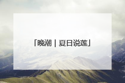 晚潮｜夏日说莲