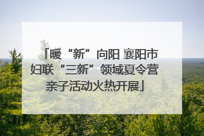 暖“新”向阳 襄阳市妇联“三新”领域夏令营亲子活动火热开展