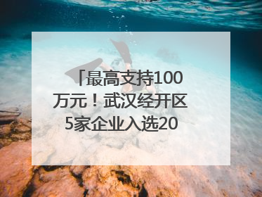 最高支持100万元！武汉经开区5家企业入选2025年度武汉市重点研发计划拟立项项目名单