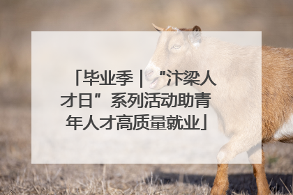 毕业季｜“汴梁人才日”系列活动助青年人才高质量就业